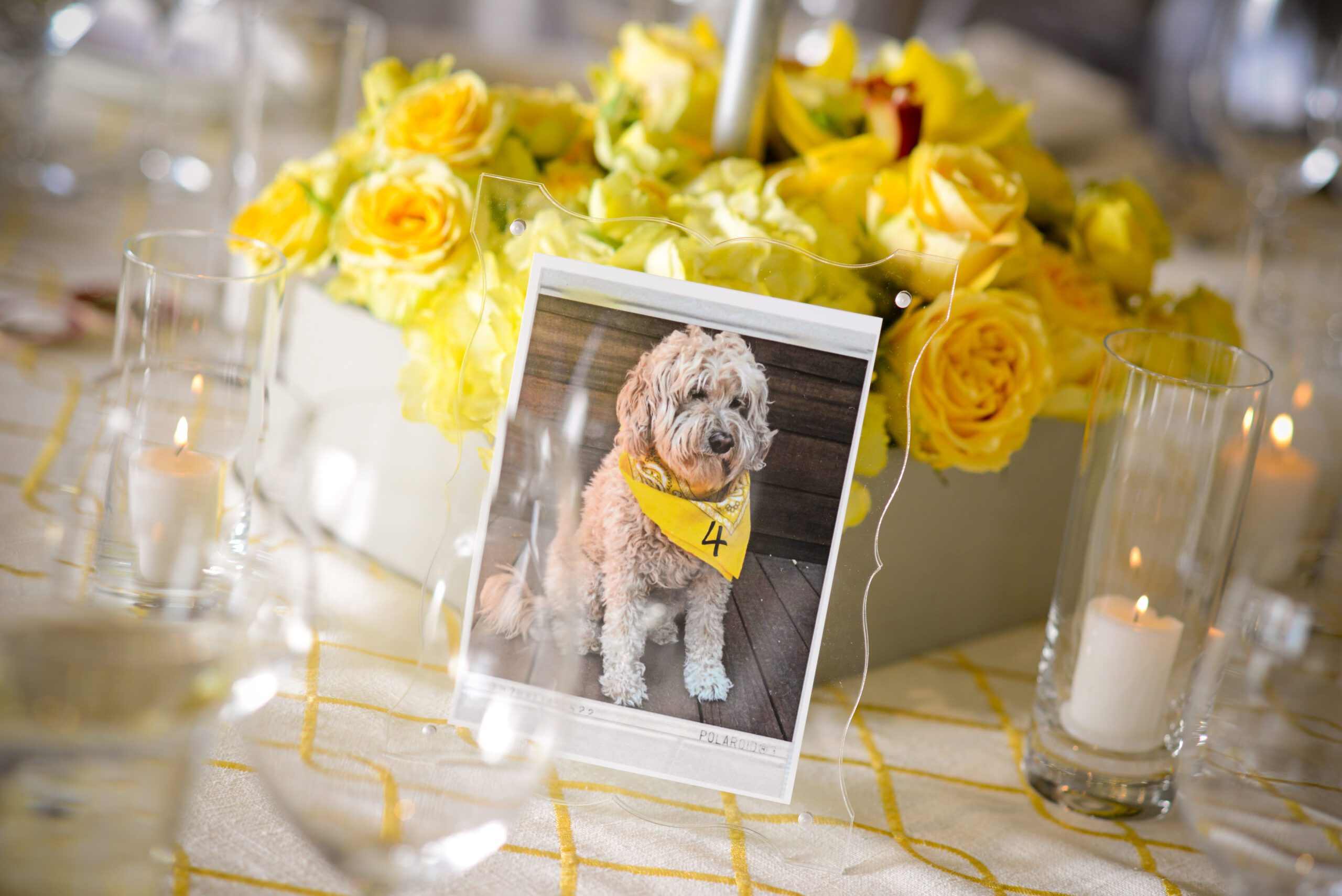 Lauren's Bat Mitzvah