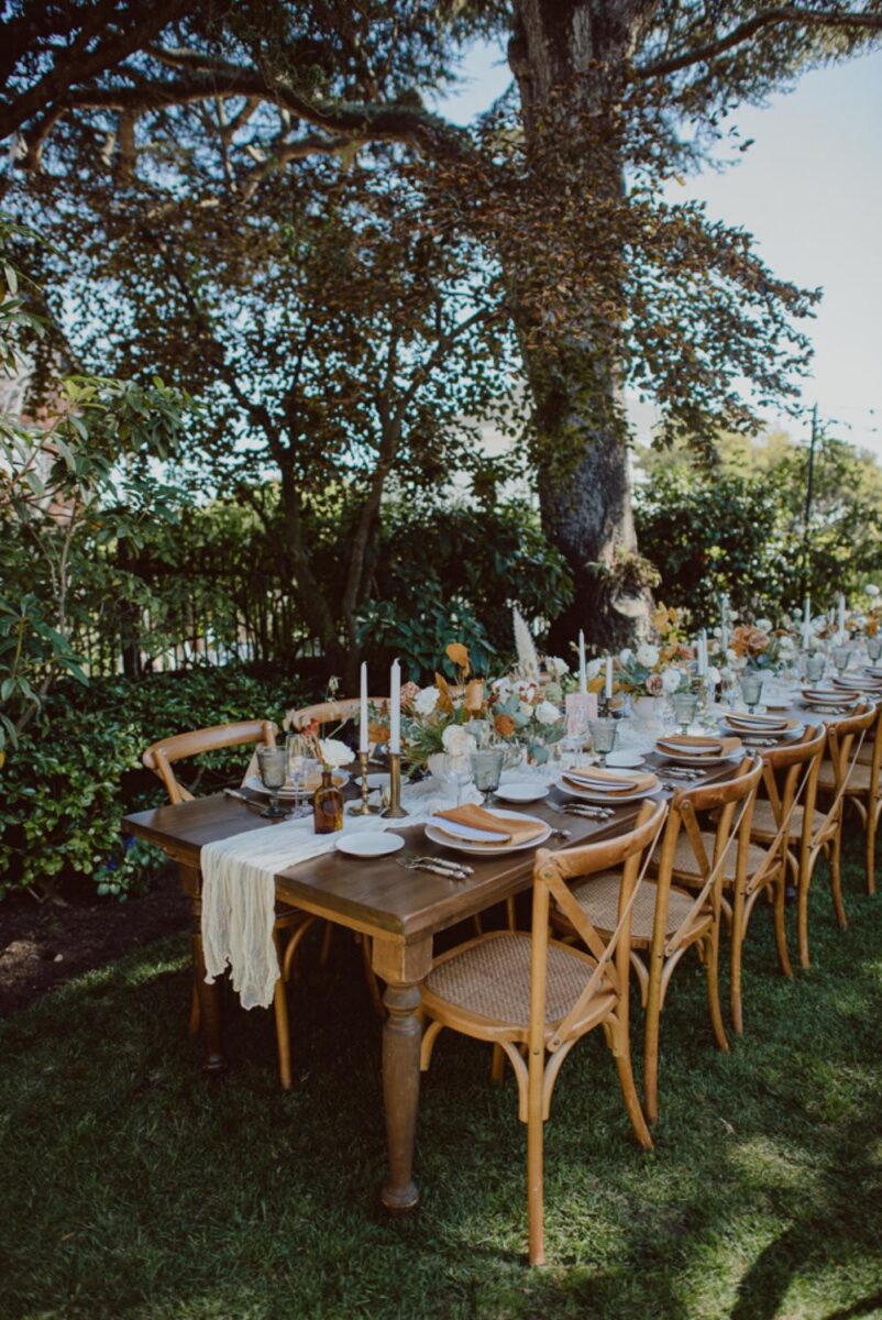 Farm Table
Table Runner
Natural Fibers
Cotton
Linen
Crossback Chairs
Wicker
Natural Wood
Viansa
Sonoma
Calistoga
Healdsburg
St. Helena
Tabletop Decor